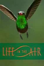 Watch Life in the Air Wootly