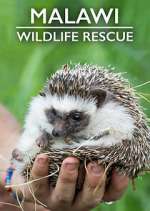 Watch Malawi Wildlife Rescue Wootly