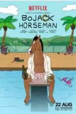 Watch BoJack Horseman Wootly