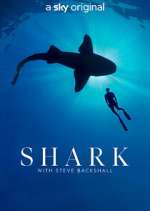 Watch Shark with Steve Backshall Wootly