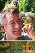 Watch Wild Colombia with Nigel Marven Wootly