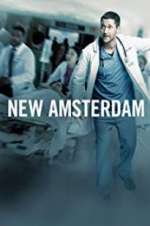 Watch New Amsterdam Wootly