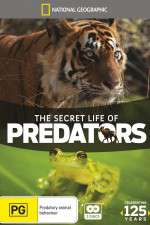 Watch Secret Life of Predators Wootly