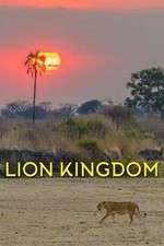 Watch Lion Kingdom Wootly