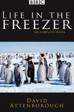 Watch Life in the Freezer Wootly