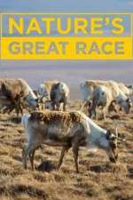 Watch Nature's Great Race Wootly