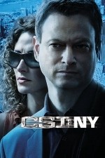 Watch CSI: NY / New York Wootly