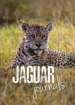 Watch Jaguar Journals Wootly