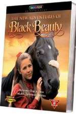 Watch The New Adventures of Black Beauty Wootly