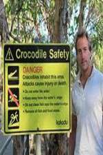 Watch Swimming With Crocodiles Wootly