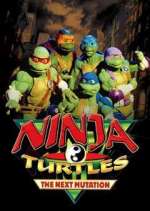 Watch Ninja Turtles: The Next Mutation Wootly