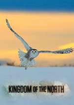 Watch Kingdom of the North Wootly