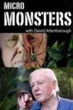 Watch Micro Monsters 3D with David Attenborough Wootly