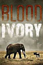 Watch Blood Ivory Wootly