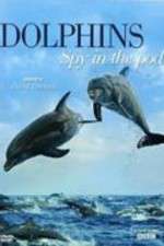 Watch Dolphins: Spy in the Pod Wootly