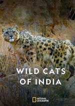 Watch Wild Cats of India Wootly