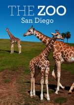 Watch The Zoo: San Diego Wootly