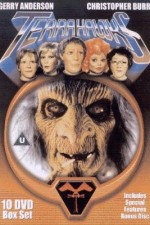 Watch Terrahawks Wootly