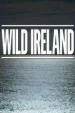 Watch Wild Ireland Wootly