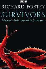 Watch Survivors: Nature's Indestructible Creatures Wootly