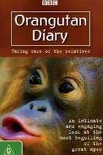Watch Orangutan Diary Wootly