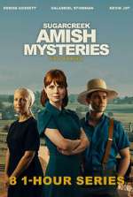 Sugarcreek Amish Mysteries wootly