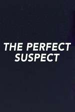 Watch The Perfect Suspect Wootly