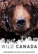 Watch Wild Canada Wootly