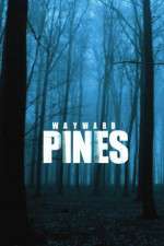 Watch Wayward Pines Wootly