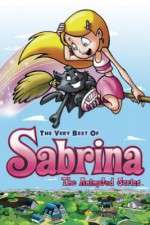 Watch Sabrina the Animated Series Wootly