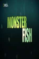 Watch National Geographic Monster Fish Wootly