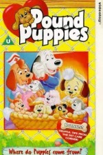 Watch Pound Puppies Wootly