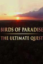 Watch Birds of Paradise: The Ultimate Quest Wootly