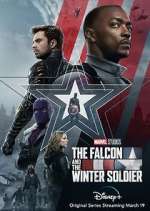 Watch The Falcon and The Winter Soldier Wootly