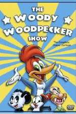 Watch The Woody Woodpecker Show Wootly