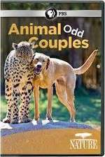 Watch Animal Odd Couples Wootly