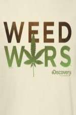 Watch Weed Wars Wootly