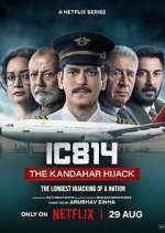 Watch IC 814: The Kandahar Hijack Wootly