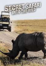 Watch Secret Safari: Into the Wild Wootly