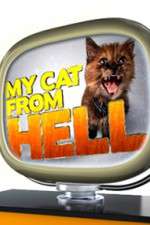 Watch My Cat from Hell Wootly