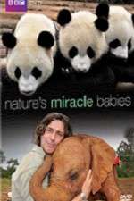 Watch Natures Miracle Babies Wootly