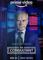 Watch The Consultant Wootly