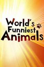 Watch The World\'s Funniest Animals Wootly