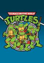 Watch Teenage Mutant Ninja Turtles Wootly