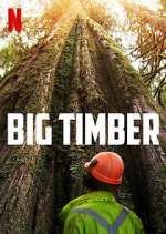 Watch Big Timber Wootly