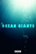 Watch Ocean Giants Wootly