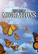 Watch Secret Migrations Wootly