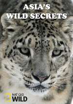 Watch Asia's Wild Secrets Wootly