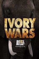 Watch Ivory Wars Wootly