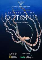 Secrets of the Octopus wootly